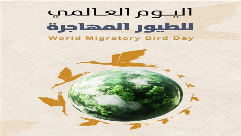 البيئة