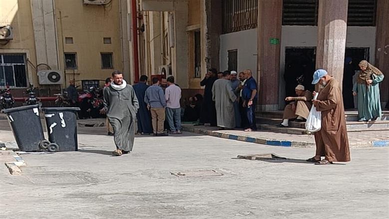المنوفية