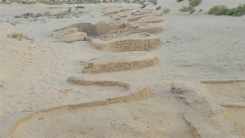 الوطن داخل الكشف الاثري في سيناء 