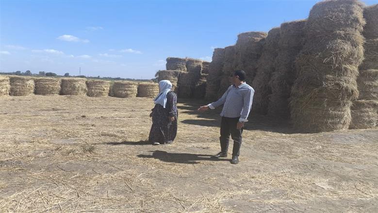 جولة زراعة القليوبية