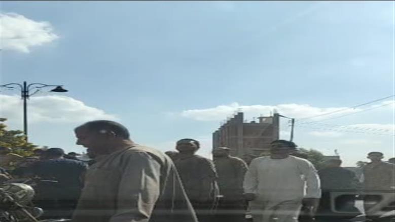 المنوفية