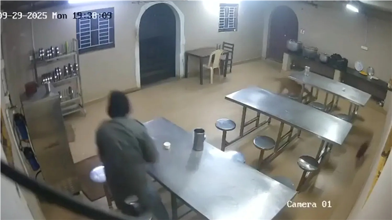 نمر يقتحم فندقا في الهند.. ونجاة نزيل بالهرب إلى المطبخ