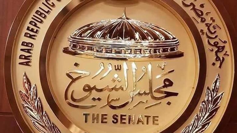 عمره 35 سنة.. أحمد خالد أصغر الأعضاء سنا في «الشيوخ» يتسلم كارنيه العضوية
