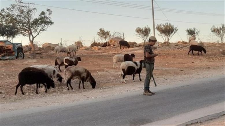 مستوطنون