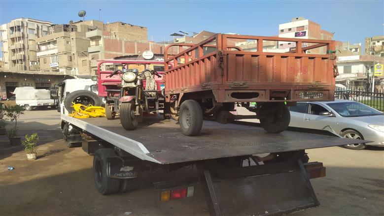 المنوفية