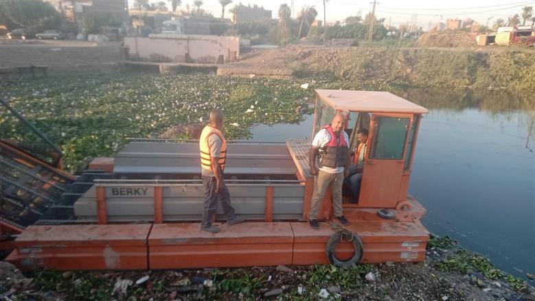 إنشاء مصنع لتحويل ورد النيل إلى أعلاف بأسيوط