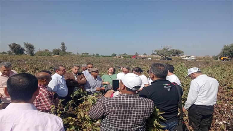 وفد من «اليونيدو» يزور مشروعات القطن المستدام في كفر الشيخ