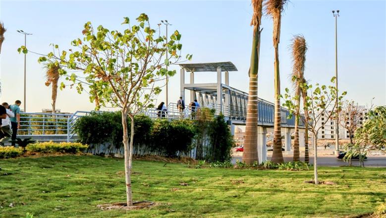 مدينتي ترفع شعار 