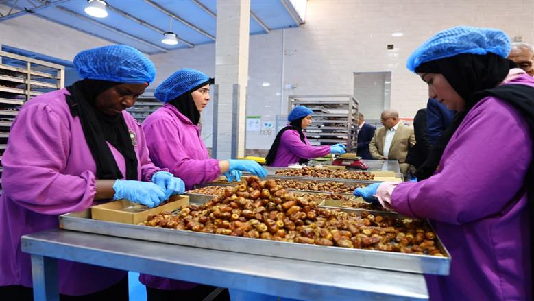 جولة وزيرى الزراعة والتنمية المحلية