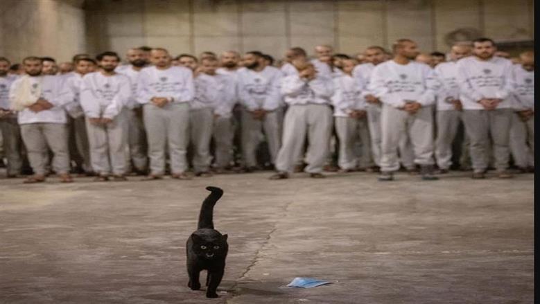 سجون الاحتلال