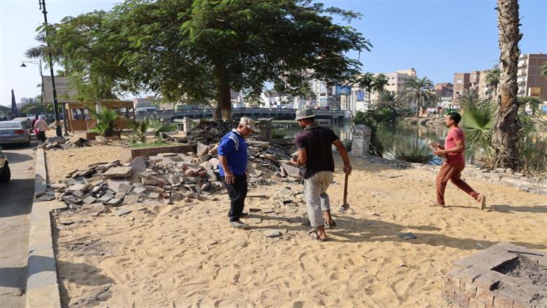 المنوفية