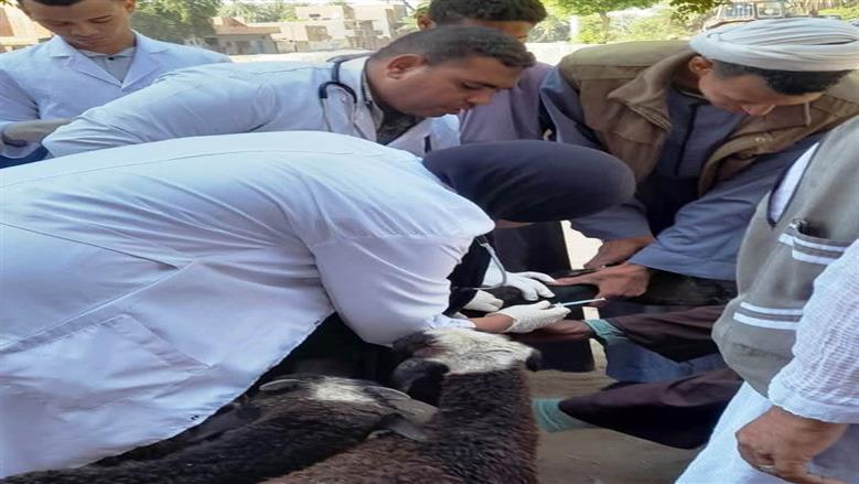 تنظيم سلسلة من القوافل البيطرية المجانية ب