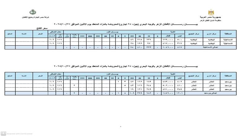 مزاد القطن اليوم