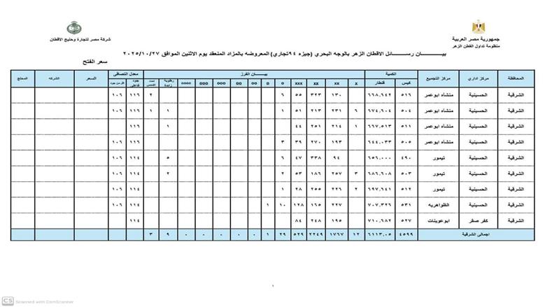 مزاد القطن اليوم