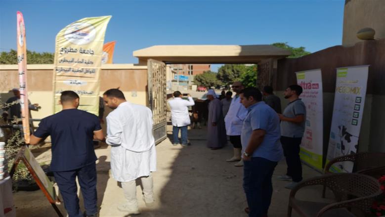 قافلة بيطرية في محافظة مطروح لعلاج الماشية والتوعية للمربيين بأهمية التحصينات للوقاية من الأمراض