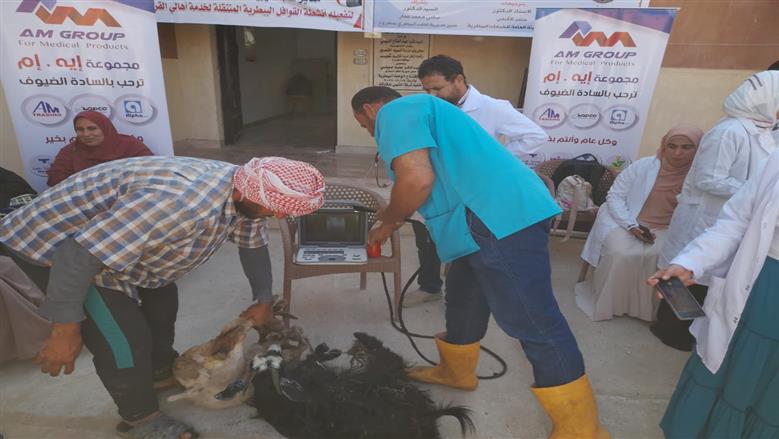 قافلة بيطرية في محافظة مطروح لعلاج الماشية والتوعية للمربيين بأهمية التحصينات للوقاية من الأمراض