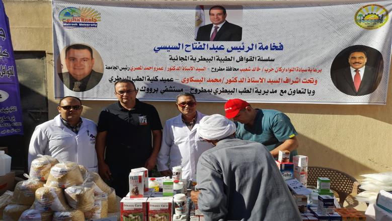 قافلة بيطرية في محافظة مطروح لعلاج الماشية والتوعية للمربيين بأهمية التحصينات للوقاية من الأمراض