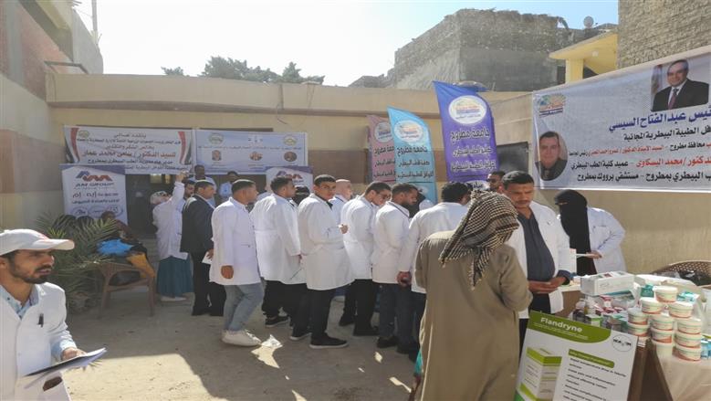 قافلة بيطرية في محافظة مطروح لعلاج الماشية والتوعية للمربيين بأهمية التحصينات للوقاية من الأمراض