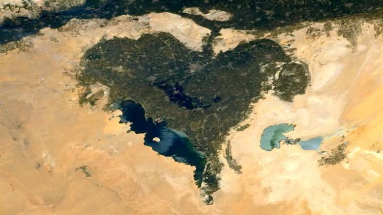 محافظة الفيوم