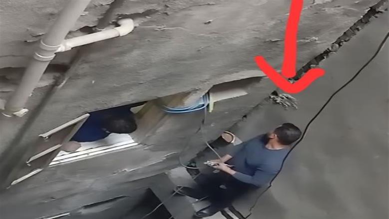 إنقاذ قطة 