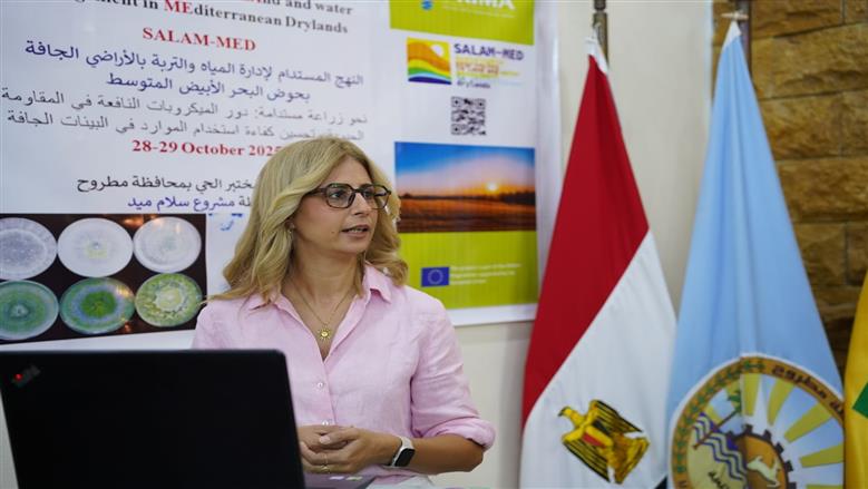 خلال فعاليات دورة تدريبية للباحثين عن الزراعة الصحراوية الآمنة بقاعة مركز بحوث الصحراء بمطروح