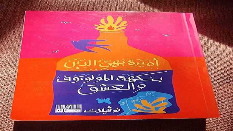 «نوفيلات» لأميرة بهي الدين