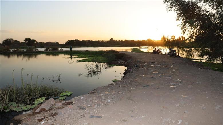 «التنمية المحلية» توجه المحافظين بتكثيف المتابعة على أراضي طرح النهر