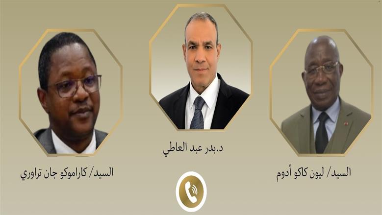 وزير الخارجية يحشد الدعم الإفريقي لترشح «العناني» لمنصب مدير عام اليونسكو