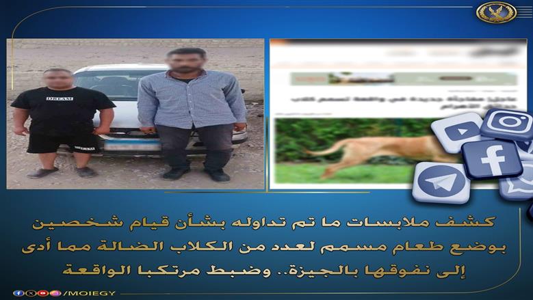 منظمات حقوقية تثمِّن جهود «الوطن» في كشف جريمة تسميم كلاب حدائق الأهرام وضبط المتهمين