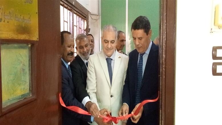 جامعة أسوان