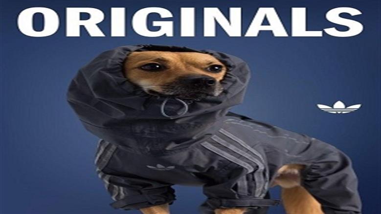 أديداس