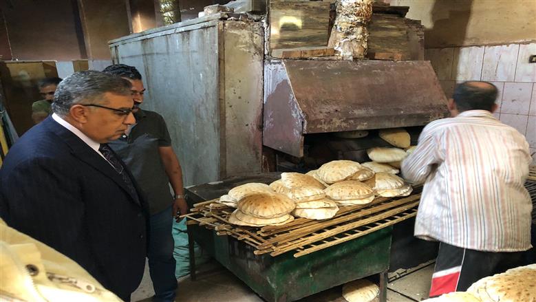 محافظ الدقهلية 
