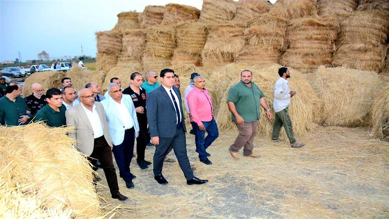 محافظة الدقهلية: تشكيل لجنة للتصدي لشون تجميع قش الأرز العشوائية