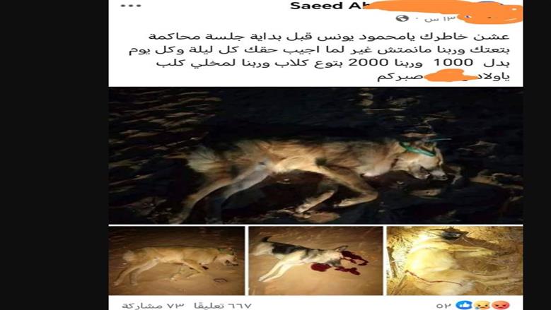 قتل الكلاب