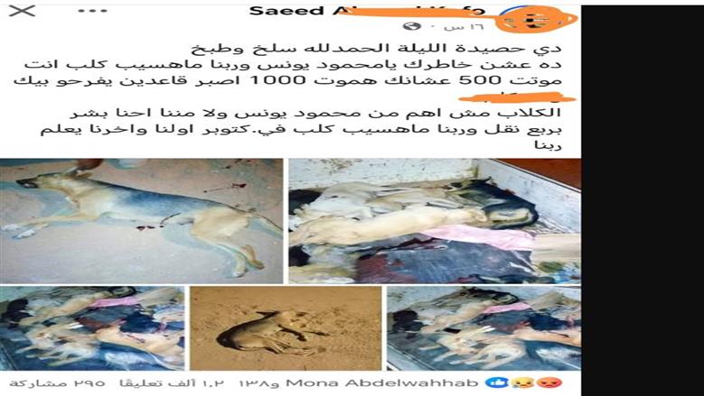 قتل الكلاب