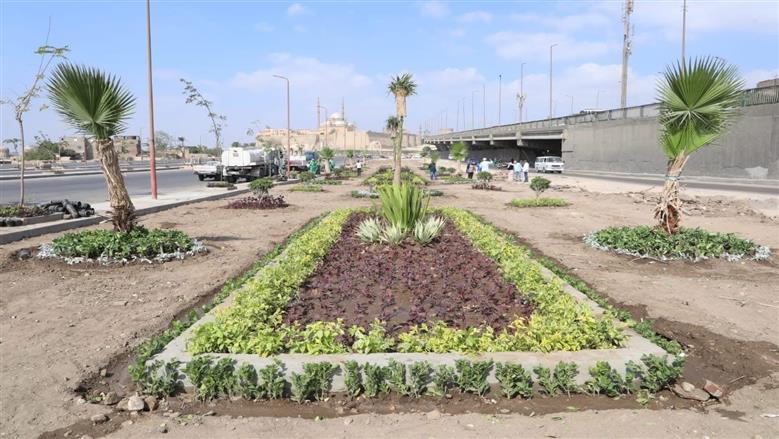 «التنمية المحلية» تتلقى تقريرا حول مستجدات تحويل محور صلاح سالم إلى متحف نباتي مفتوح 