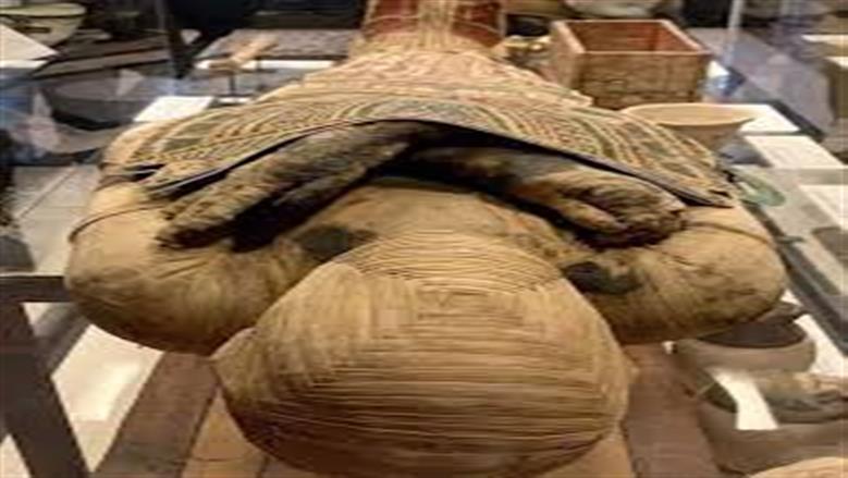 أغرب المومياوات المثيرة للجدل.. لن يستطع علماء الآثار الكشف عن وجهها