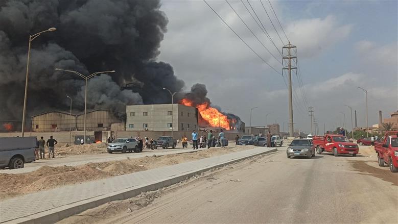 المنوفية