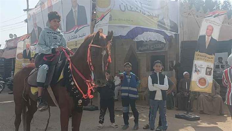 انتخابات الفيوم 