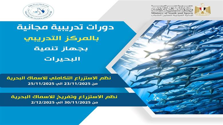 دورة تدريبية