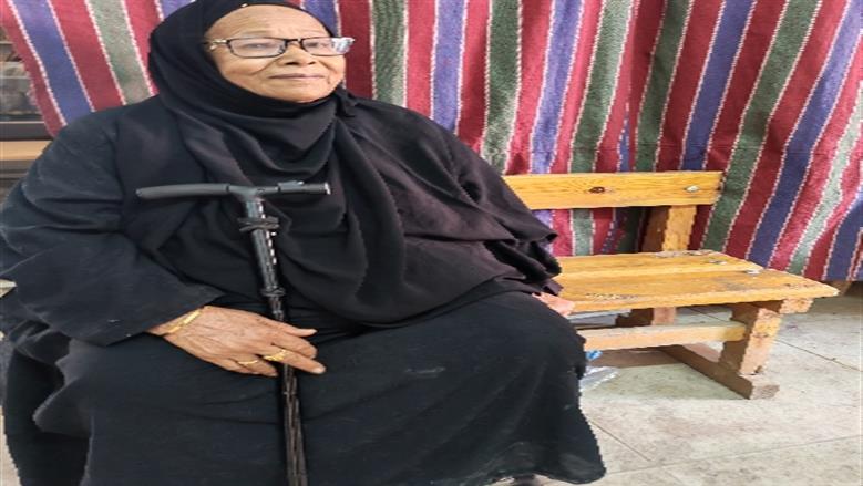 محافظة أسوان