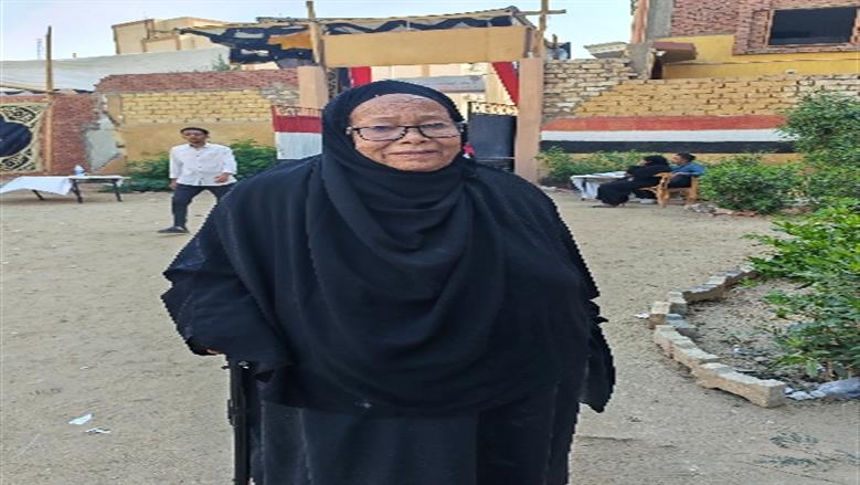 محافظة أسوان