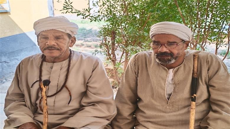 محافظة أسوان 