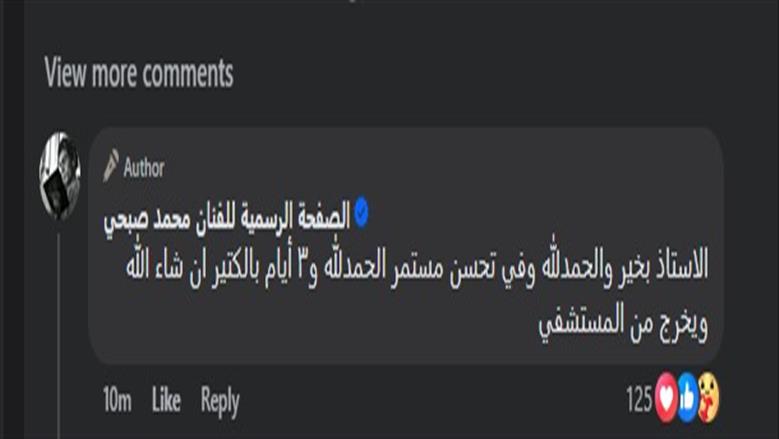 محمد صبحي