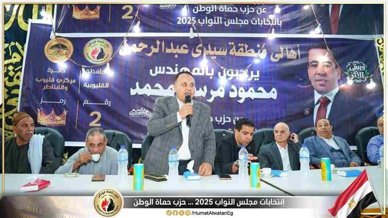 مؤتمر حزب حماة الوطن بقليوب