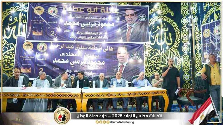 مؤتمر حزب حماة الوطن بقليوب