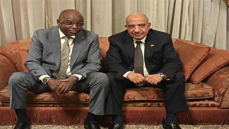 وزير الكهرباء يبحث مع نظيره التشادي مشروعات البنية التحتية والطاقة المتجددة 