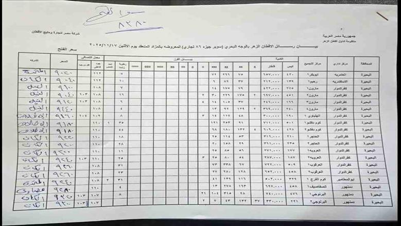 مزاد القطن