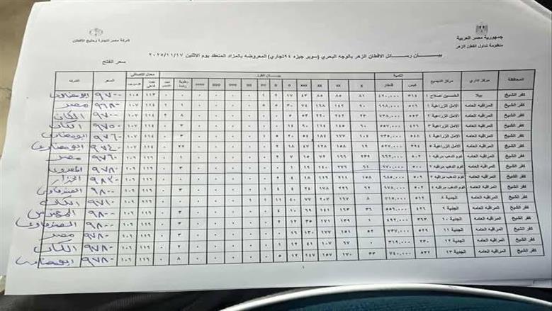 مزاد القطن