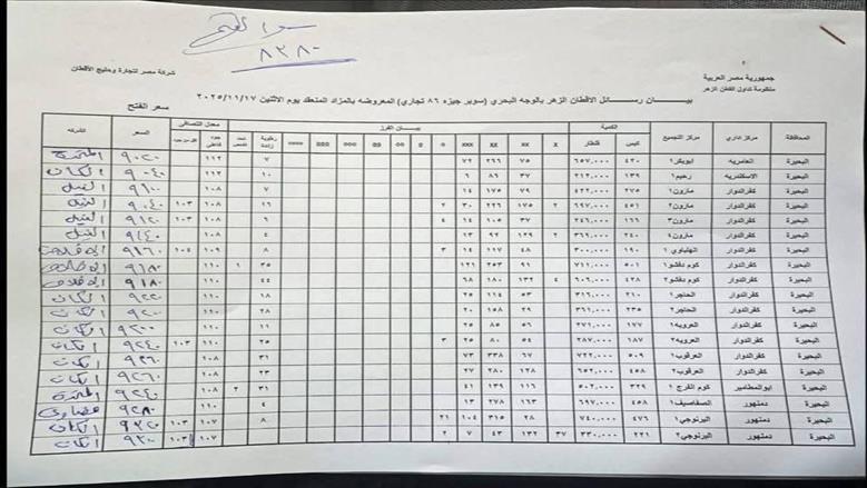 مزاد القطن